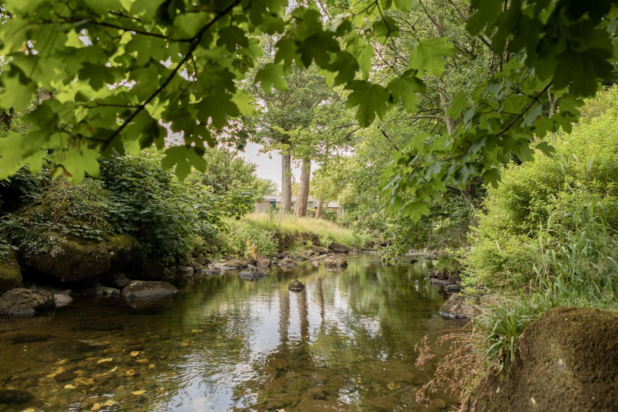 Afonfa - Llanuwchllyn Villa Bala Luaran gambar